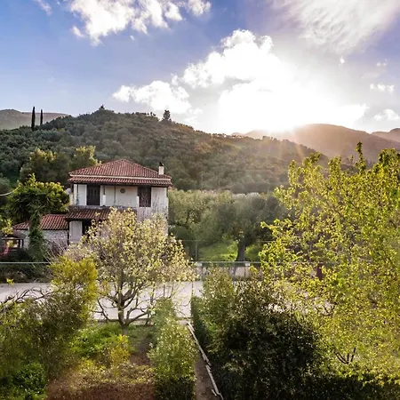 Villa Zante 5 Bedroom With Private Pool And Basketball Court Langadhákia